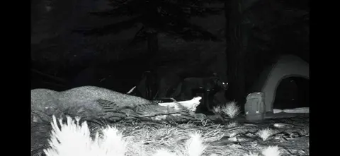 TRAILCAM screenshot
