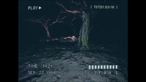Lost Footage : Sound In The Silence screenshot