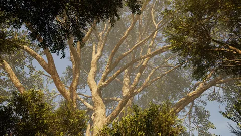 Calming Forest screenshot