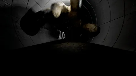 Parasite Tunnel screenshot