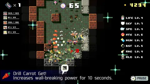DUNGEON RAZE screenshot