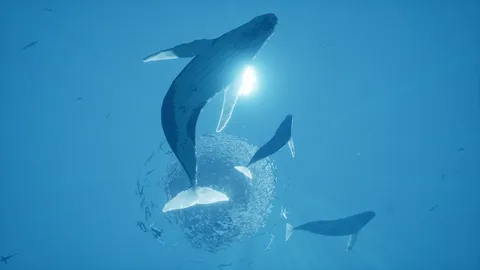 ABZÛ screenshot