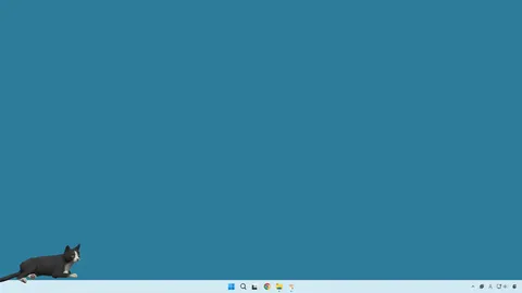 desktop my cat screenshot