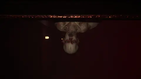 We Are Alive screenshot