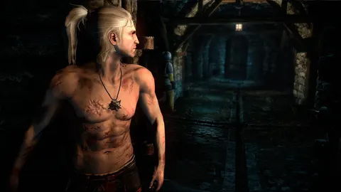 The Witcher 2: Assassins of Kings screenshot