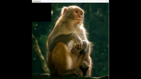hgmGame-monkey screenshot