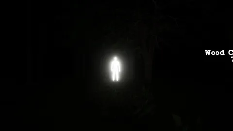 Inside The Forest screenshot