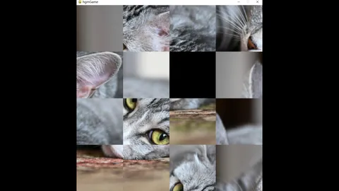 hgmGame-cat screenshot