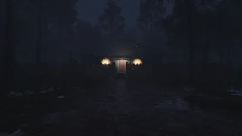Light in the woods screenshot