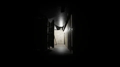SHADOW screenshot