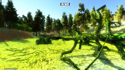 Rake screenshot