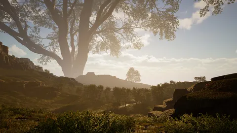 Calming Forest screenshot
