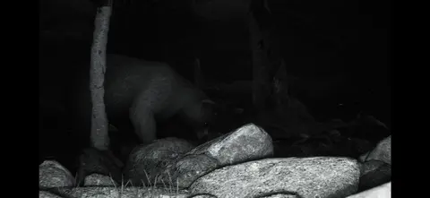 TRAILCAM screenshot