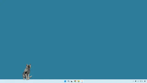 desktop my cat screenshot