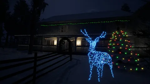 Lonely Christmas screenshot