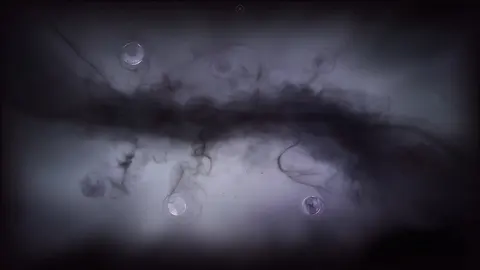 Cyrano Story screenshot