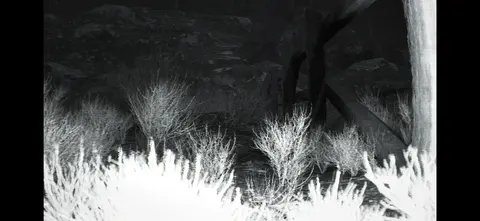 TRAILCAM screenshot