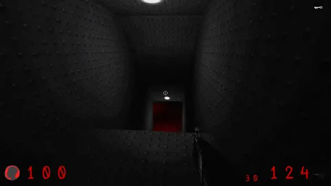 BorderMind screenshot