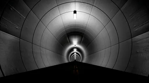 Parasite Tunnel screenshot