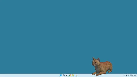 desktop my cat screenshot