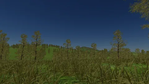Poland Car Simulator screenshot