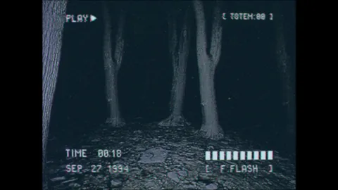 Lost Footage : Sound In The Silence screenshot