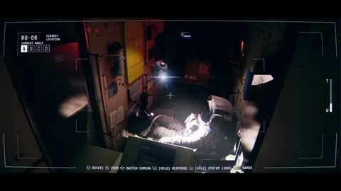 Observation screenshot