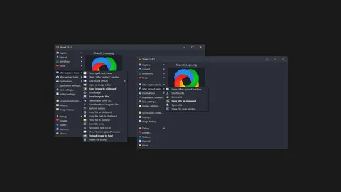 ShareX screenshot