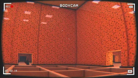 The Backrooms: Anomaly Containment Unit screenshot