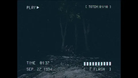 Lost Footage : Sound In The Silence screenshot