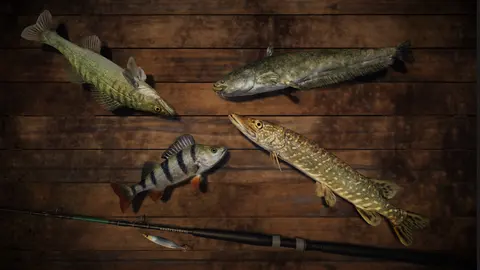 Professional Fishing screenshot