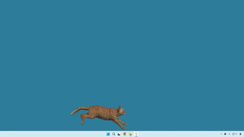 desktop my cat screenshot