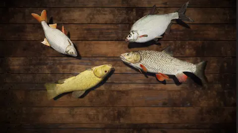Professional Fishing screenshot