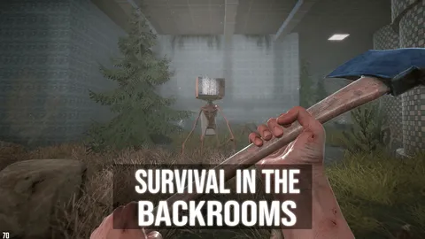 Survival In The Backrooms screenshot