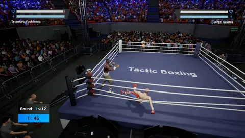 Tactic Boxing screenshot