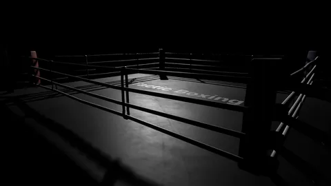 Tactic Boxing screenshot