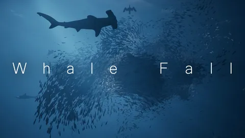 Whale Fall screenshot