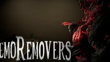 MemoRemovers cover