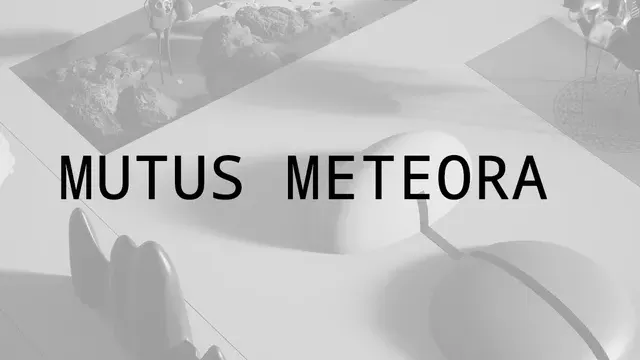 Mutus Meteora cover