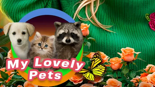 My Lovely Pets cover