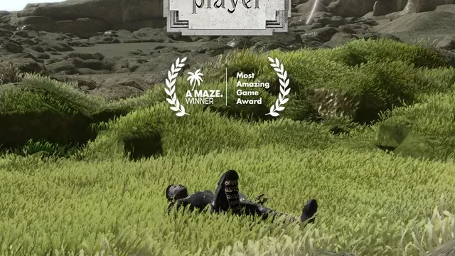 Player Non Player cover