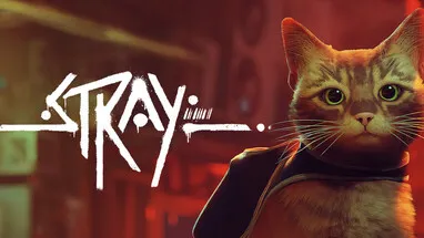 Stray cover