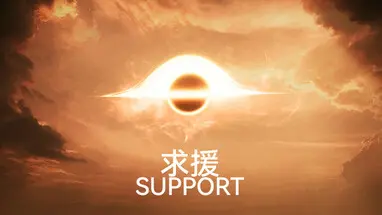 Support cover