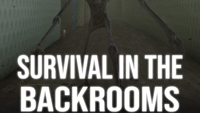 Survival In The Backrooms cover