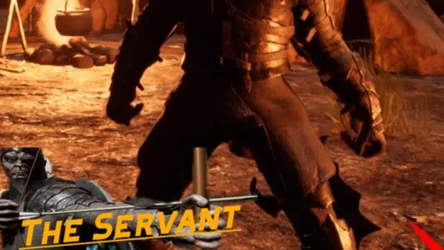 The Servant cover