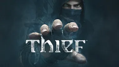 Thief cover
