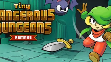 Tiny Dangerous Dungeons Remake cover