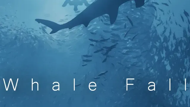 Whale Fall cover