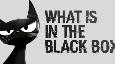 What is in the Black Box? cover